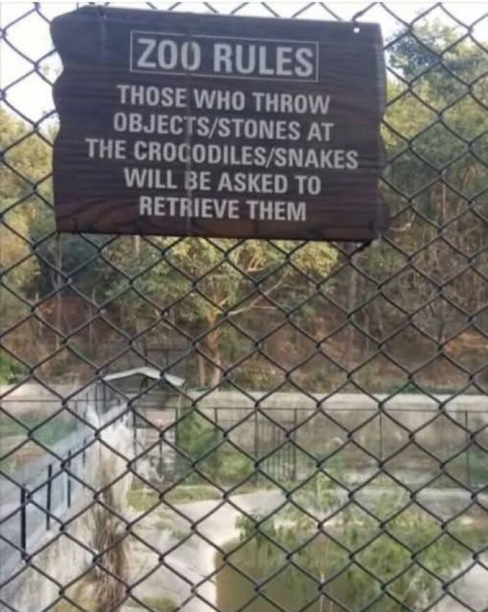 A funny signs zoo rule sign warning visitors to retrieve objects thrown at crocodiles/snakes.