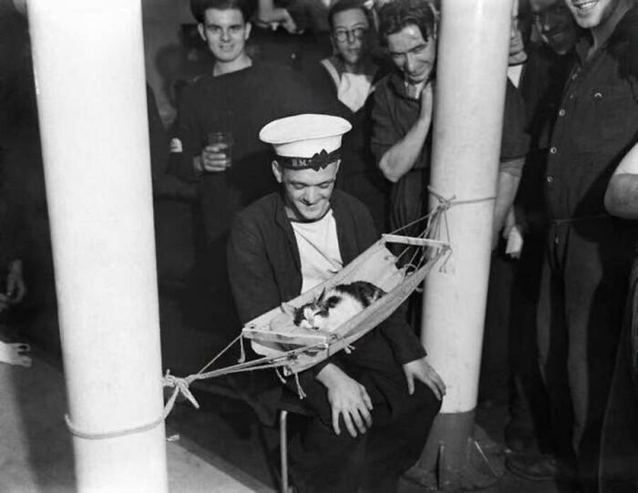 Sailor holding a custom mini hammock for his kitten in these old photos of animals