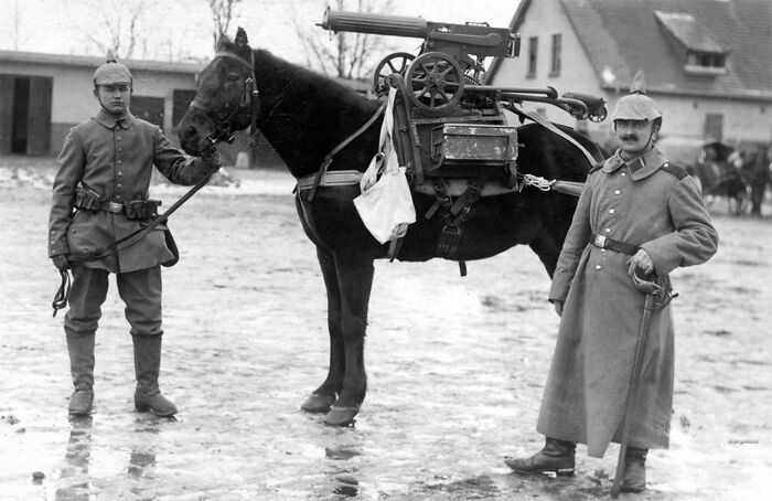 Old photos of animals showing a black horse carrying a military machine gun alongside soldiers