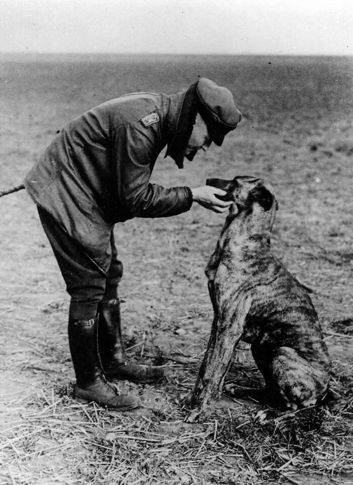 A soldier interacting with a large dog in one of these old photos of animals