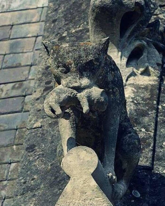 Ancient stone gargoyle statue carved in the likeness of a cat holding a mouse from old photos of animals