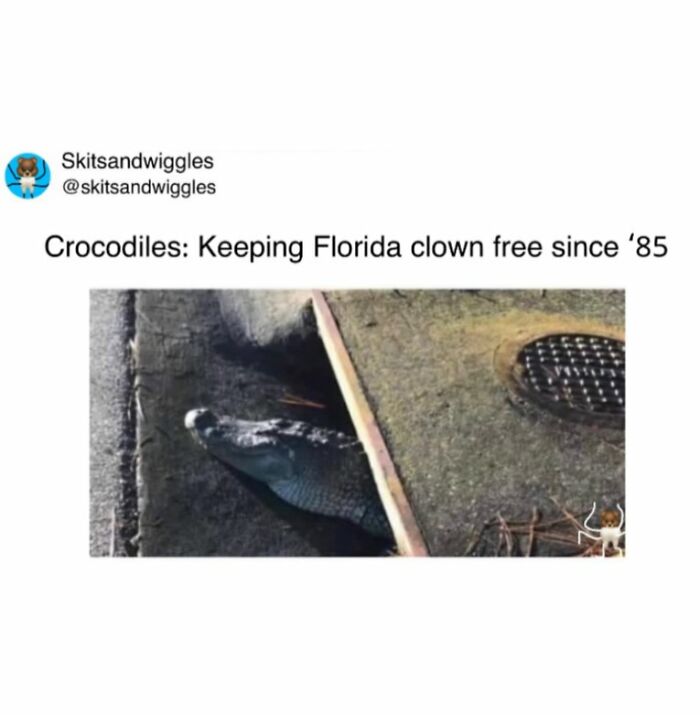 Random-Humorous-Memes