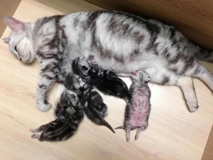 40 Adorable Animal Pics For Anyone Who Needs A Little Break From The Stress Of Everyday Life