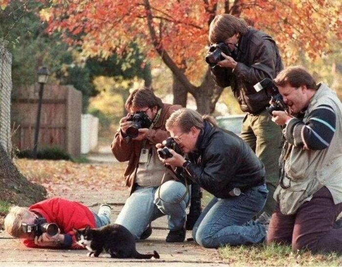 A group of paparazzi taking old photos of animals, specifically a stray black and white cat