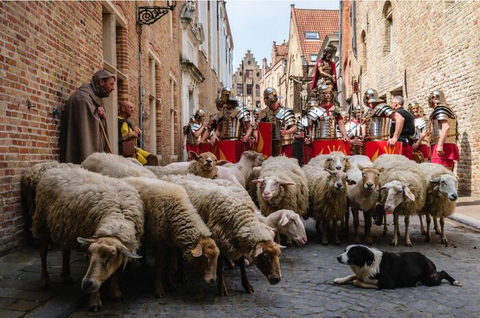 Animals steal the show in Jeffrey De Keyser street photography, featuring sheep and a dog amidst Roman soldiers.