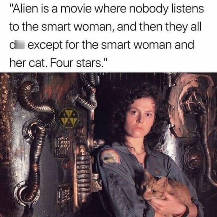 61 Hilarious Cat Posts From The ‘Cat’ Facebook Page That Feline Fans May Find Painfully Relatable