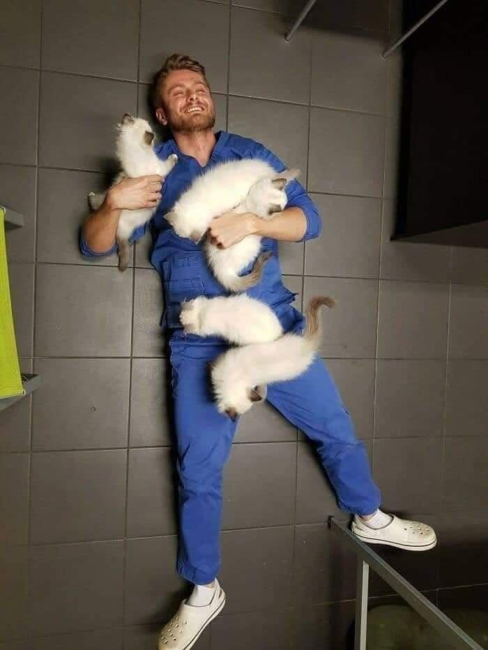We Found These Hilarious And Heartwarming Cat Photos On The “Meaaaow” Facebook Page (40 Pics)