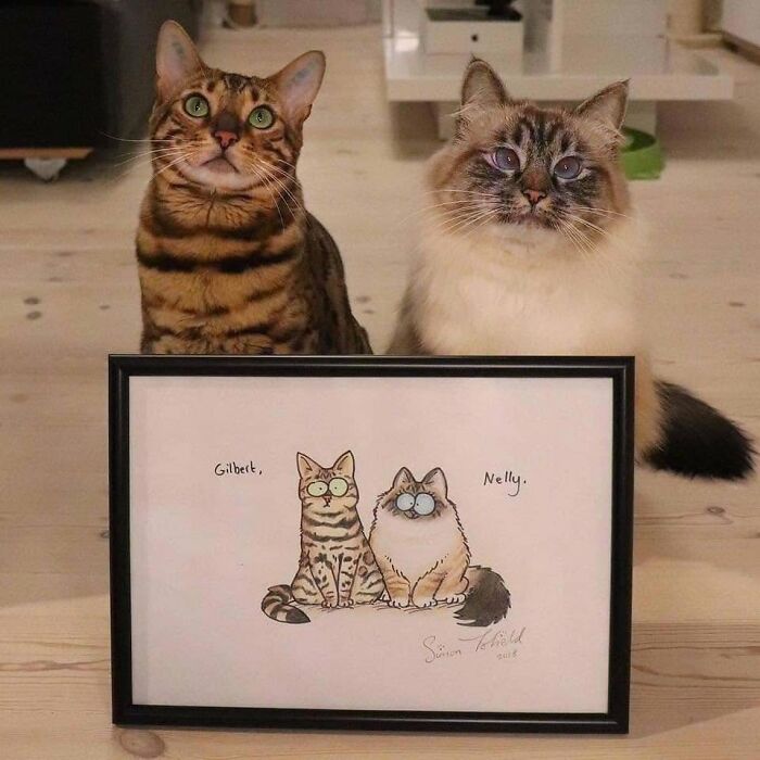 We Found These Hilarious And Heartwarming Cat Photos On The “Meaaaow” Facebook Page (40 Pics)