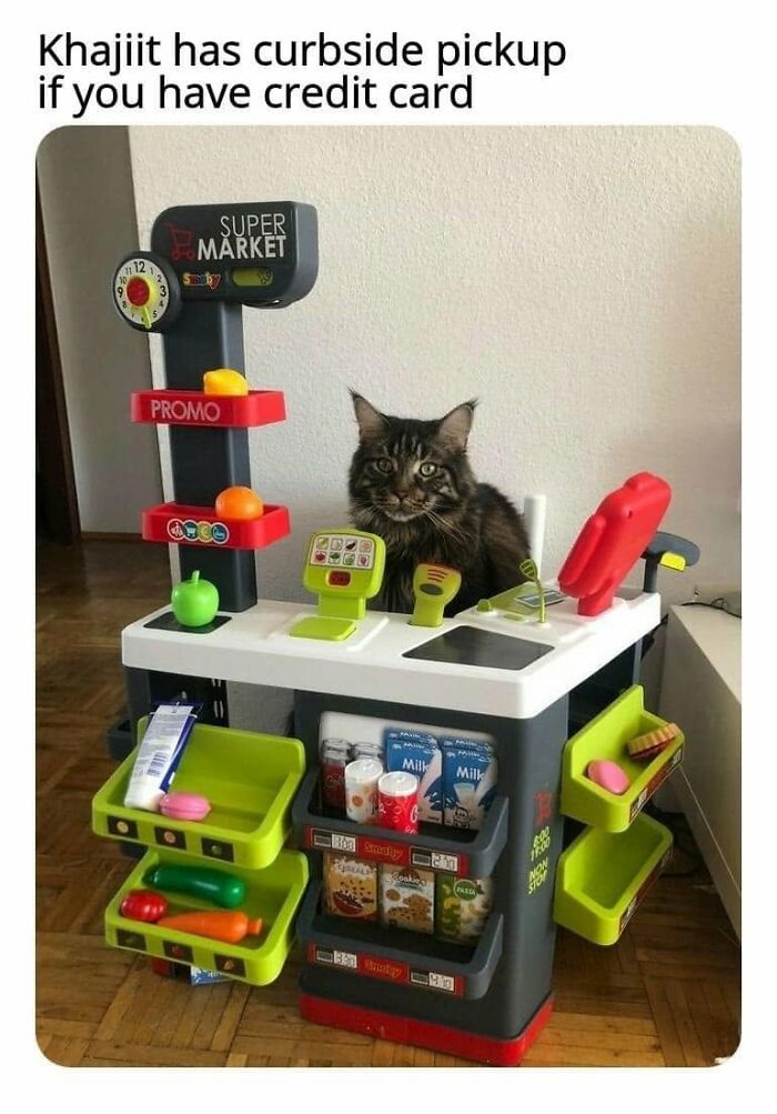 61 Hilarious Cat Posts From The ‘Cat’ Facebook Page That Feline Fans May Find Painfully Relatable