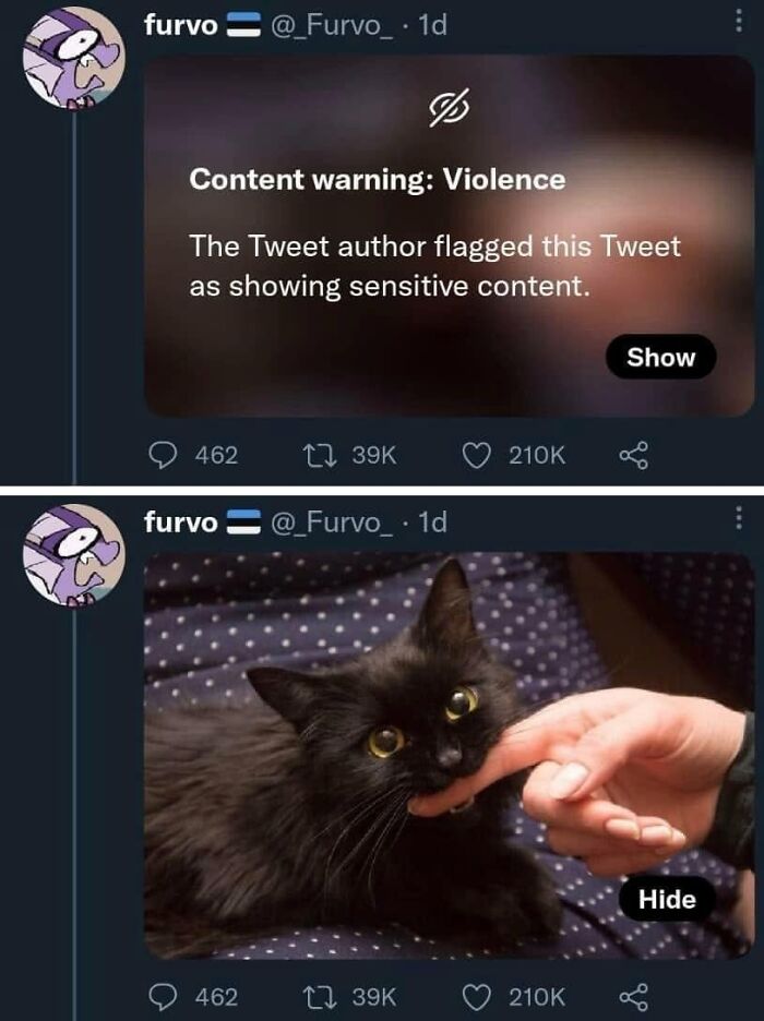 61 Hilarious Cat Posts From The ‘Cat’ Facebook Page That Feline Fans May Find Painfully Relatable