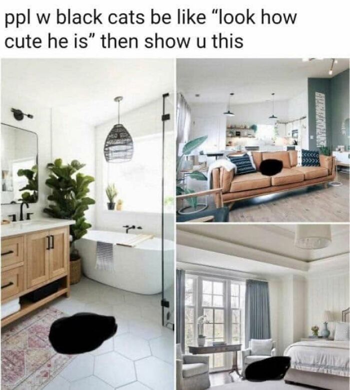 61 Hilarious Cat Posts From The ‘Cat’ Facebook Page That Feline Fans May Find Painfully Relatable