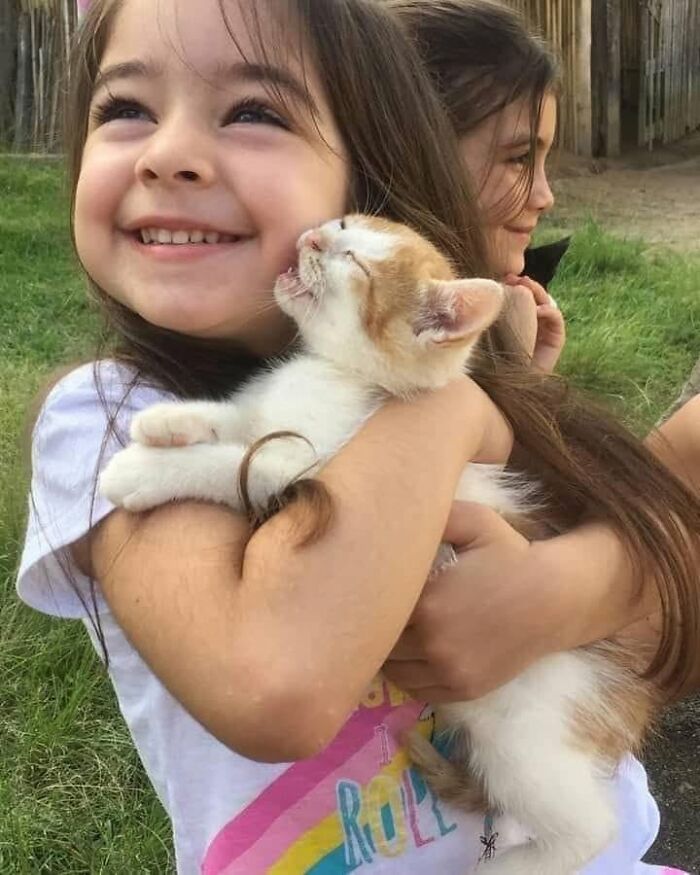 We Found These Hilarious And Heartwarming Cat Photos On The “Meaaaow” Facebook Page (40 Pics)