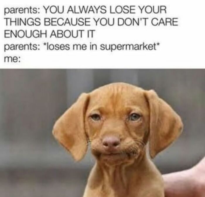 Disappointed puppy face from dog memes about parents losing kids in supermarket