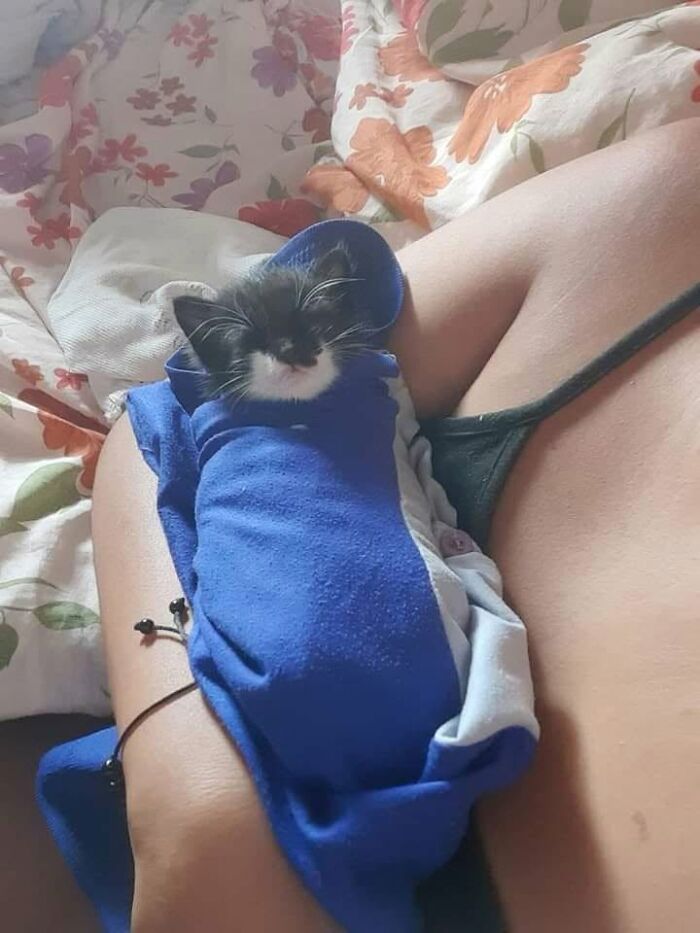 40 Adorable Animal Pics For Anyone Who Needs A Little Break From The Stress Of Everyday Life
