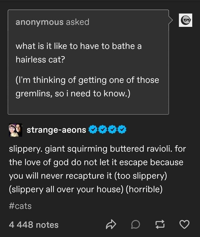 61 Hilarious Cat Posts From The ‘Cat’ Facebook Page That Feline Fans May Find Painfully Relatable
