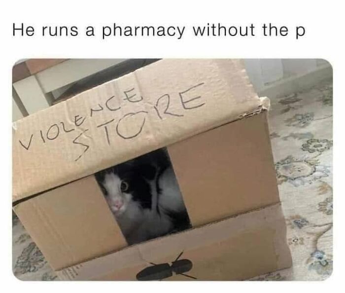 61 Hilarious Cat Posts From The ‘Cat’ Facebook Page That Feline Fans May Find Painfully Relatable