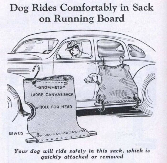 A black and white diagram of a vintage dog carrier sack for a car, showcasing old photos of animals
