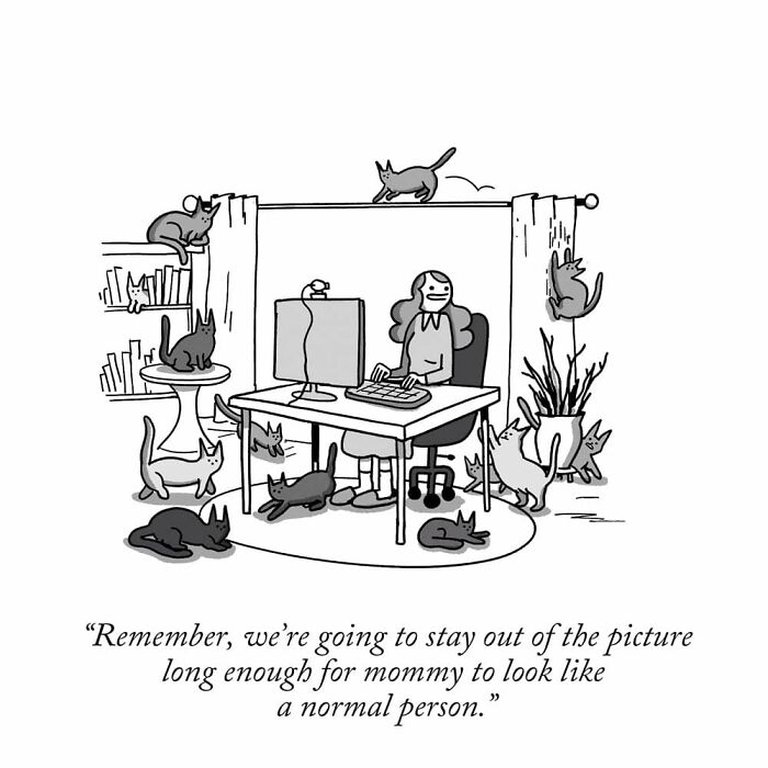 50 Hilarious Cat Comics By ‘War And Peas’ That Capture The Chaos Of Living With Feline