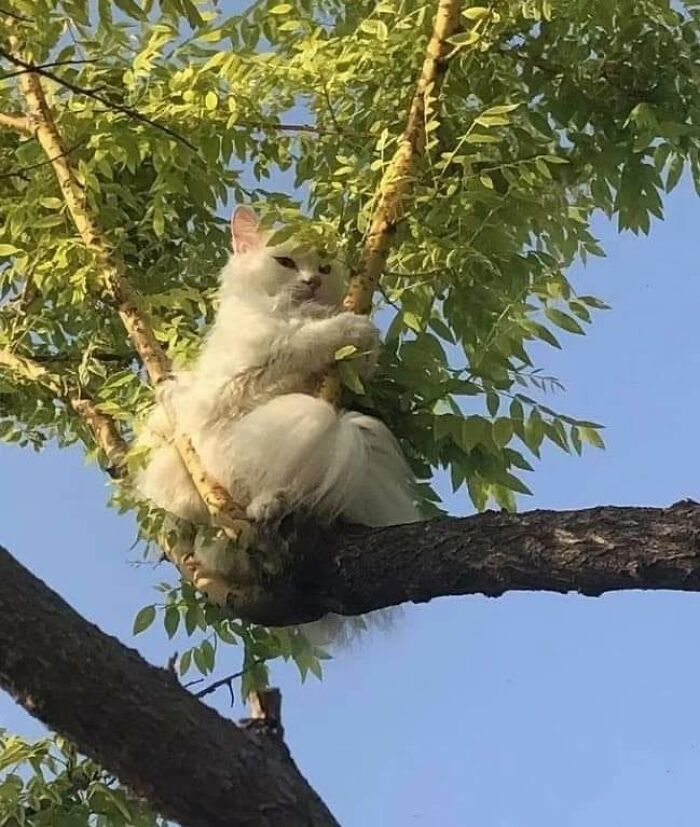 40 Adorable Animal Pics For Anyone Who Needs A Little Break From The Stress Of Everyday Life