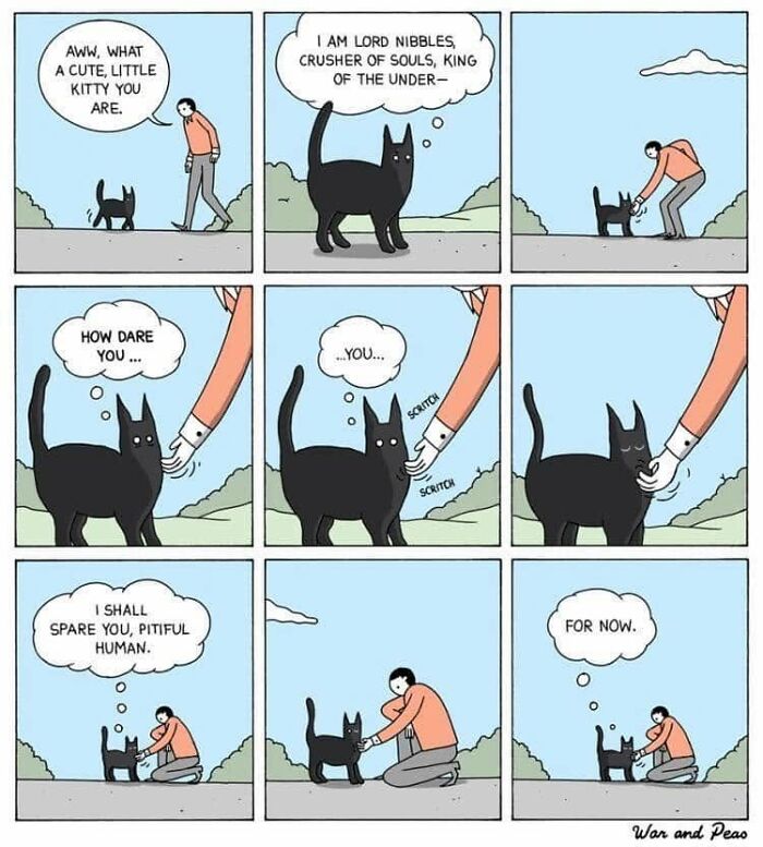 50 Hilarious Cat Comics By ‘War And Peas’ That Capture The Chaos Of Living With Feline