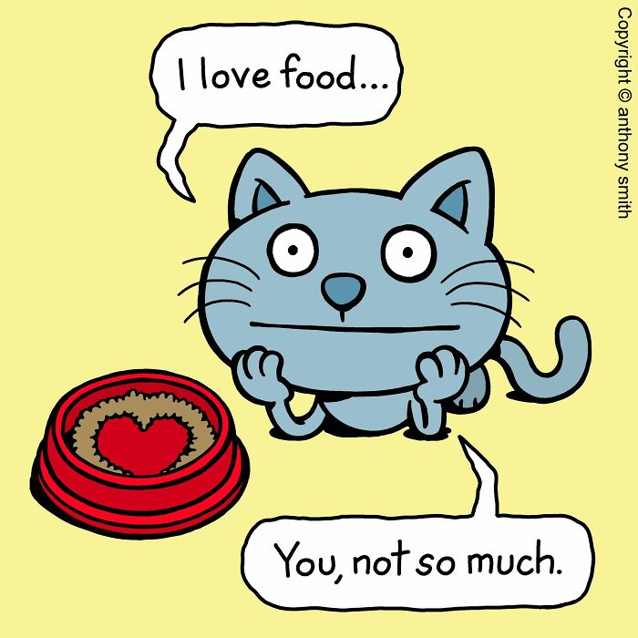 A cat with a bowl of food, exhibiting its cattitude, declares, I love food... You, not so much.