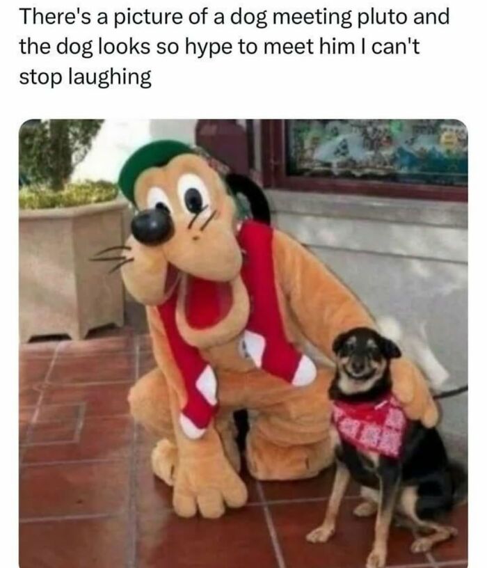 Funny dog memes: A small smiling black dog next to a large Pluto mascot in a red vest.