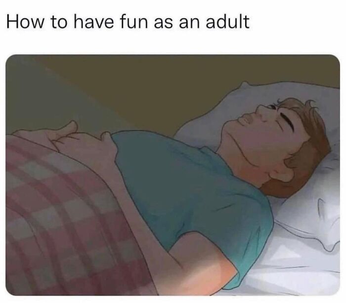 Funny meme showing how to have fun as an adult by sleeping