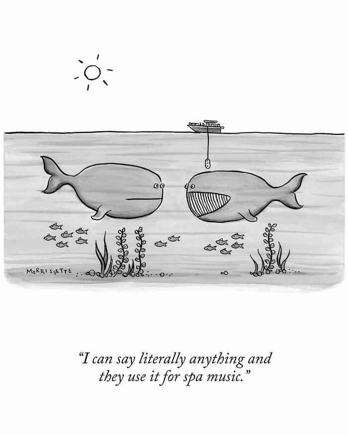 Cartoon meme of two whales with one complaining about spa music
