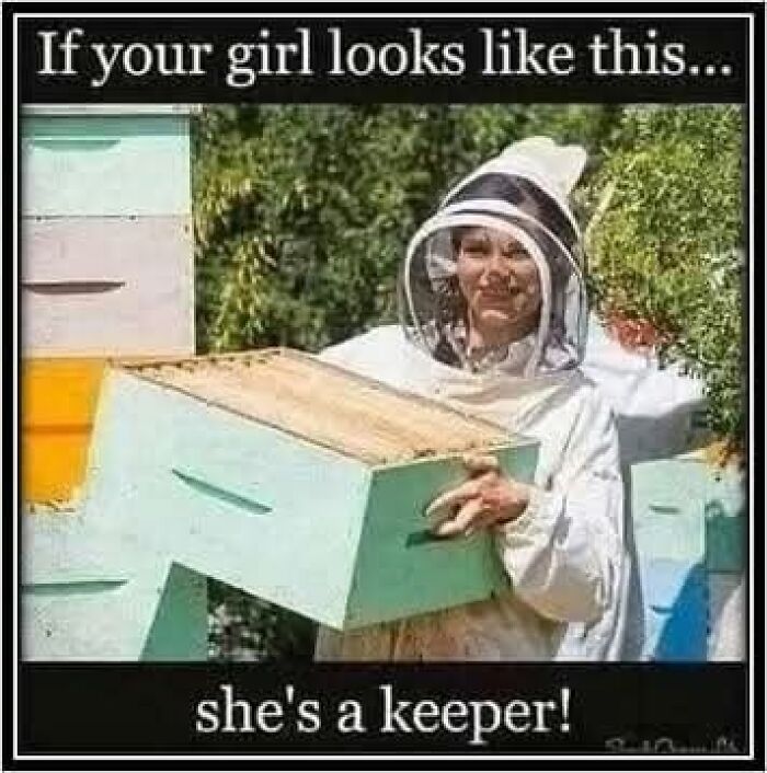 Funny meme about a woman in beekeeper suit being a keeper joke