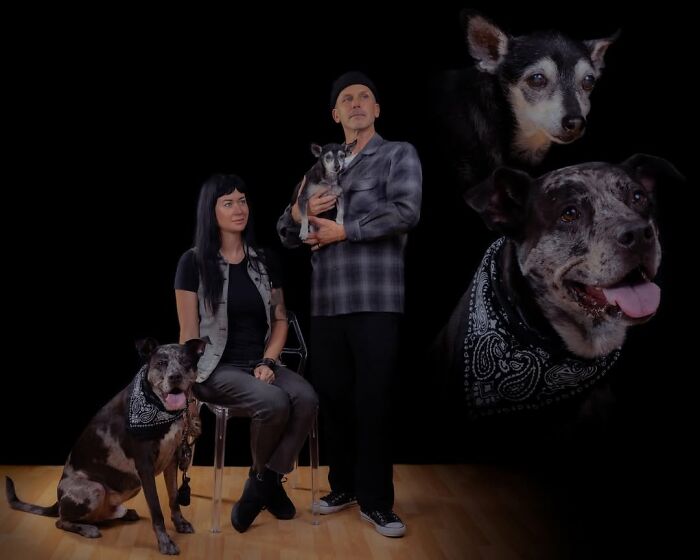 Quirky portraits of pets and their owners: A couple with their dogs, including floating dog heads.