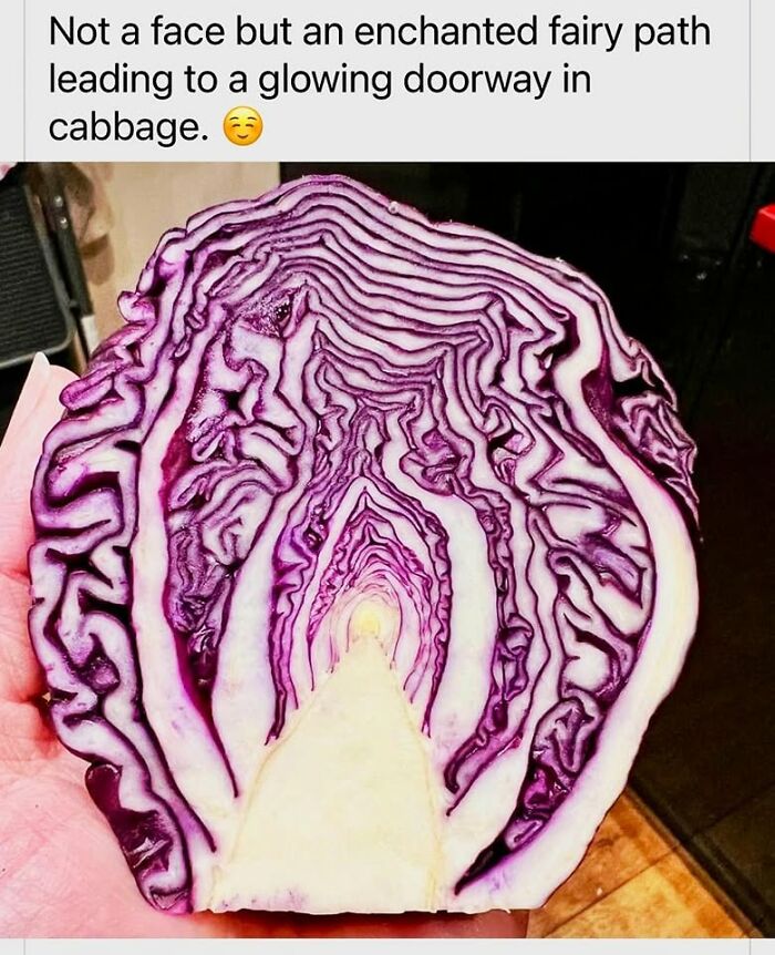 These Things Look Like Something Completely Different, And Our Brains Can’t Unsee It (64 Pics)