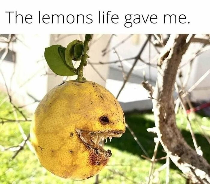 These Things Look Like Something Completely Different, And Our Brains Can’t Unsee It (64 Pics)
