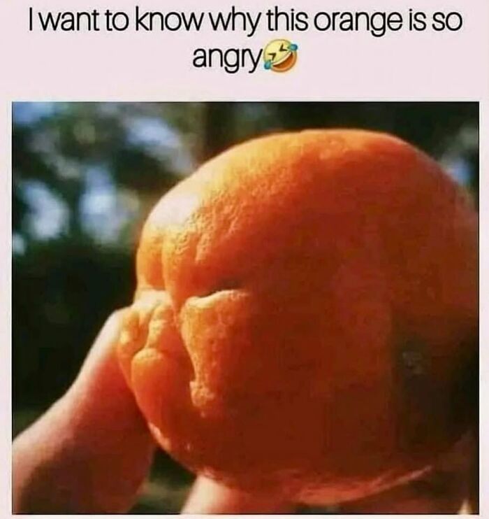 These Things Look Like Something Completely Different, And Our Brains Can’t Unsee It (64 Pics)