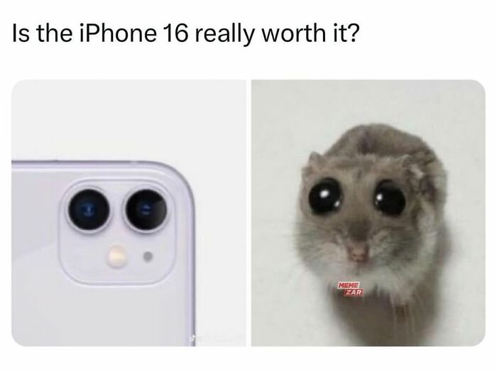 These Things Look Like Something Completely Different, And Our Brains Can’t Unsee It (64 Pics)
