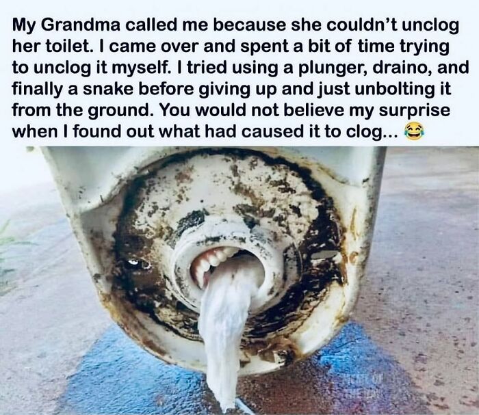 These Things Look Like Something Completely Different, And Our Brains Can’t Unsee It (64 Pics)