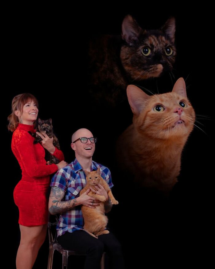 Quirky portraits of pets and their owners: A woman in red and a man with glasses holding their cats.