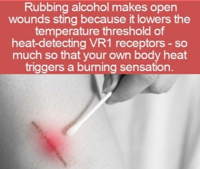 Interesting facts about why rubbing alcohol stings on an open skin wound