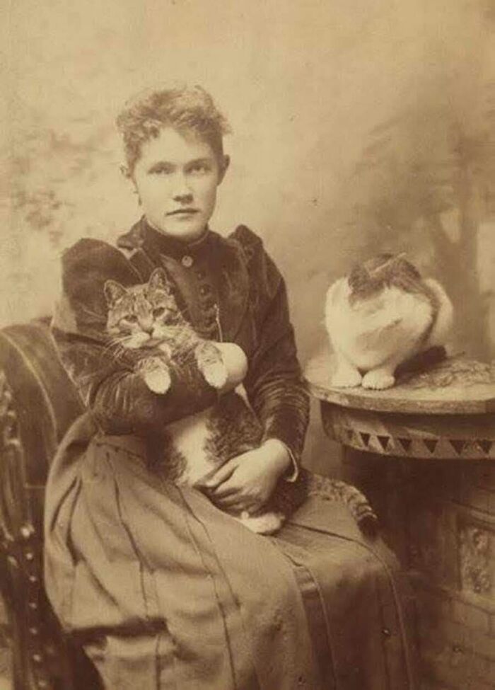 A Victorian woman in vintage cat photos holding a tabby while another cat sits on a table