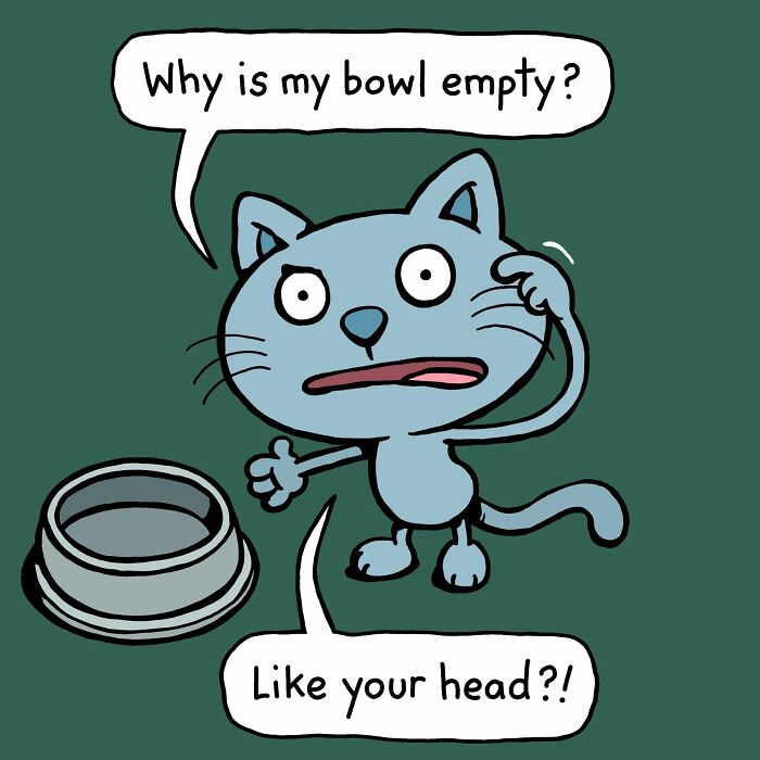 Cattitude comic showing a cat asking why its bowl is empty, illustrating what having a cat is like.