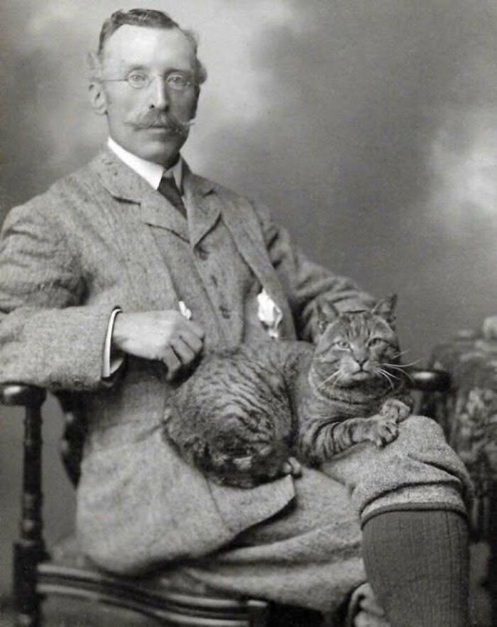 A dapper gentleman posing for a vintage cat photo with a tabby resting on his lap