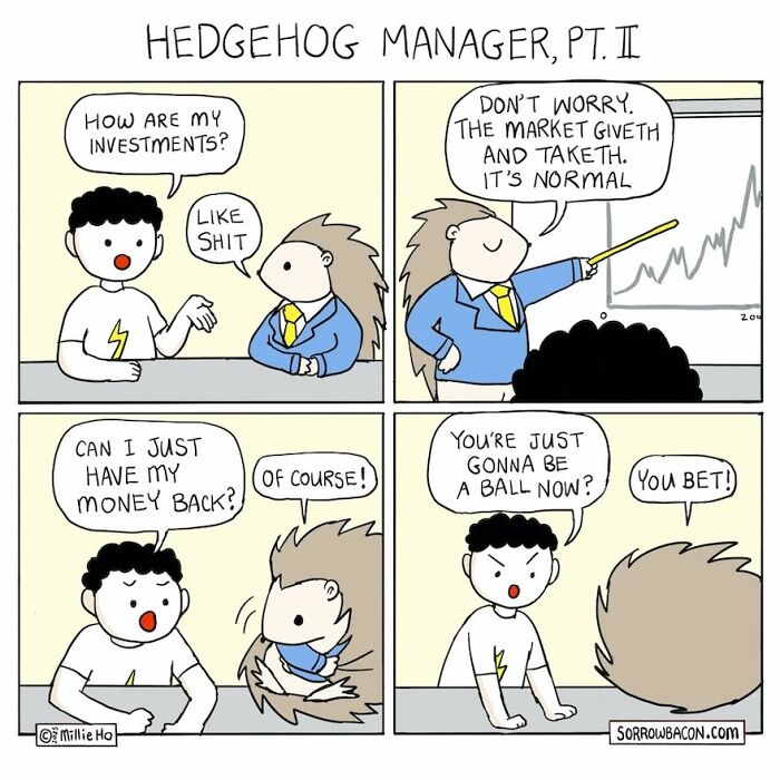 Artist creates comics about a hedgehog manager in funny twists, discussing investments that went wrong, leading to the hedgehog rolling into a ball.