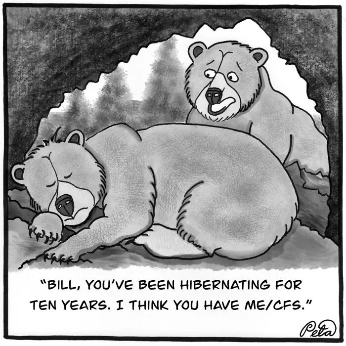 Single-panel comic depicting bears in a cave with one bear humorously diagnosing the other with ME/CFS after hibernation.