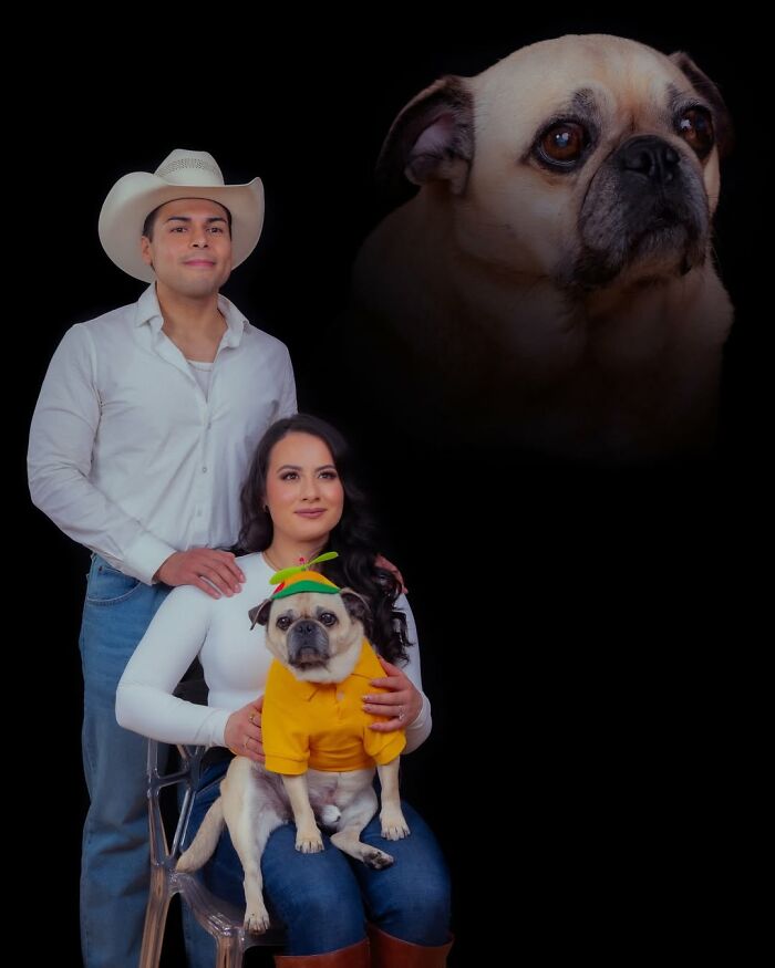 Quirky portraits of pets and their owners: A couple with a pug in a costume, showcasing their bond.