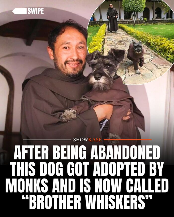 A wholesome story of an adorable dog adopted by monks wearing a matching robe