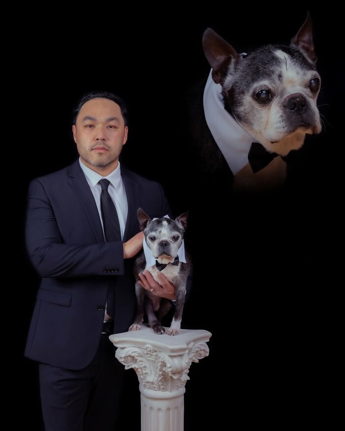 Quirky portraits of pets and their owners: a man in a suit holding his Boston Terrier in a tuxedo.