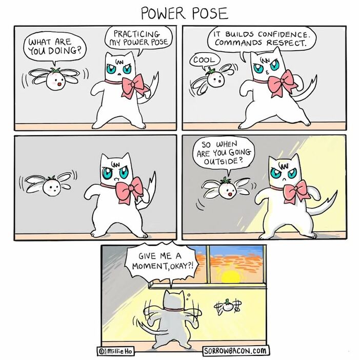 Artist creates comics about a cat practicing a power pose in funny twists, building confidence, until a fly asks if it's going outside.