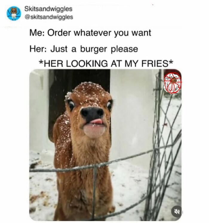 Random-Humorous-Memes