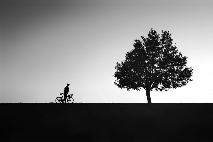 A photographer presents minimalist architecture with a person and bicycle silhouetted beside a tree, creating a bold, everyday scene.