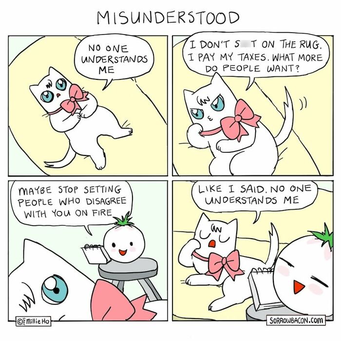 Artist creates comics with funny twists, showing a misunderstood cat lamenting that no one understands it.