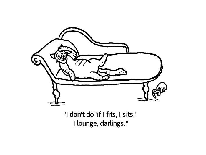 Single-panel comic of a cat lounging on a couch humorously defying 'if it fits, I sits' cat behavior.